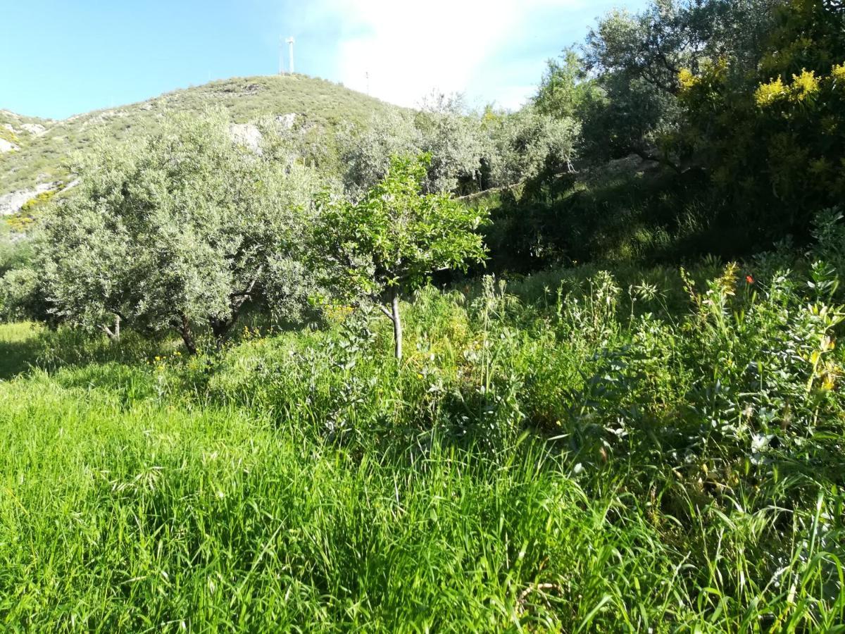 Bancal De Los Perez Carataunas Екстериор снимка