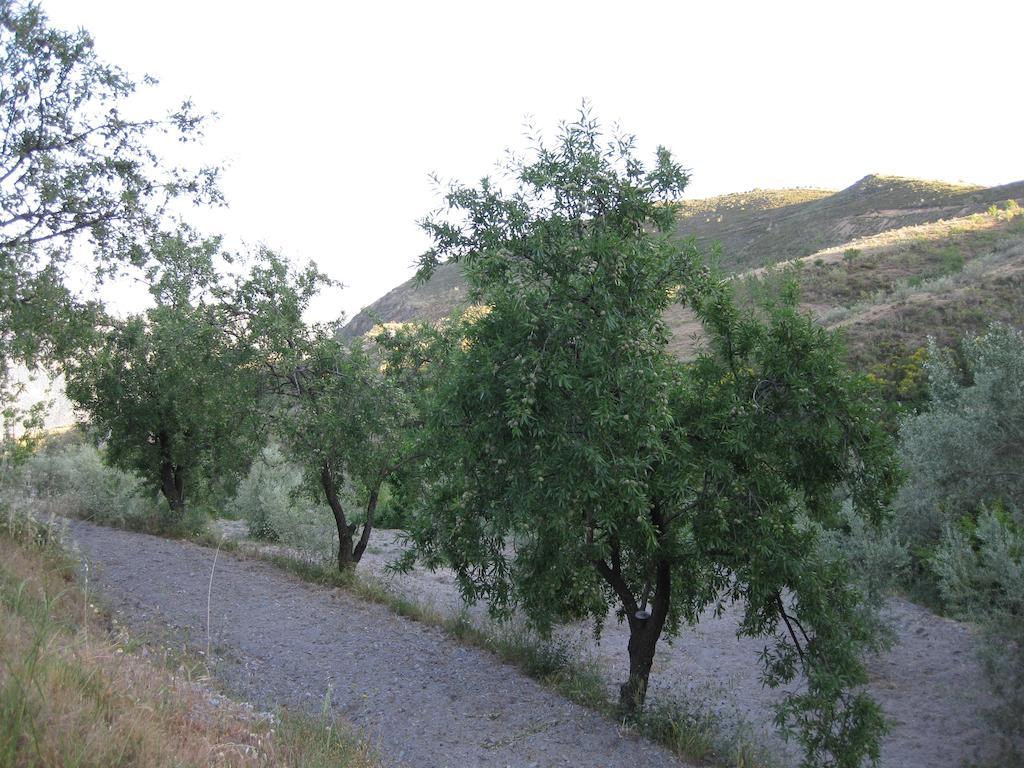Bancal De Los Perez Carataunas Екстериор снимка