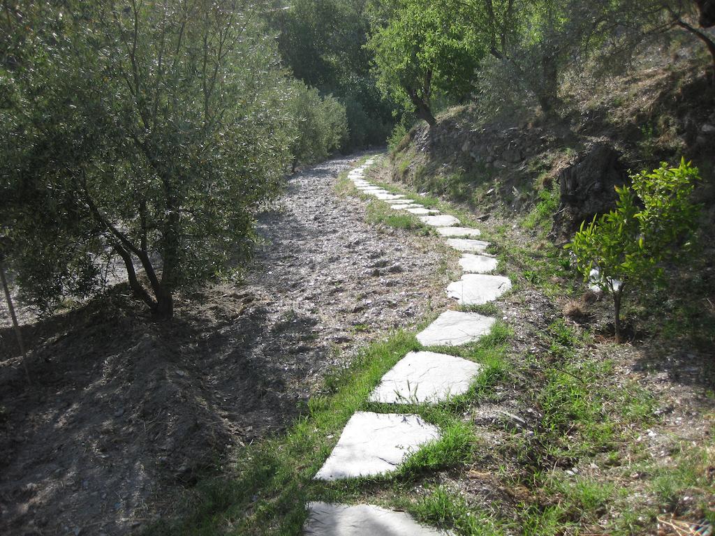 Bancal De Los Perez Carataunas Екстериор снимка
