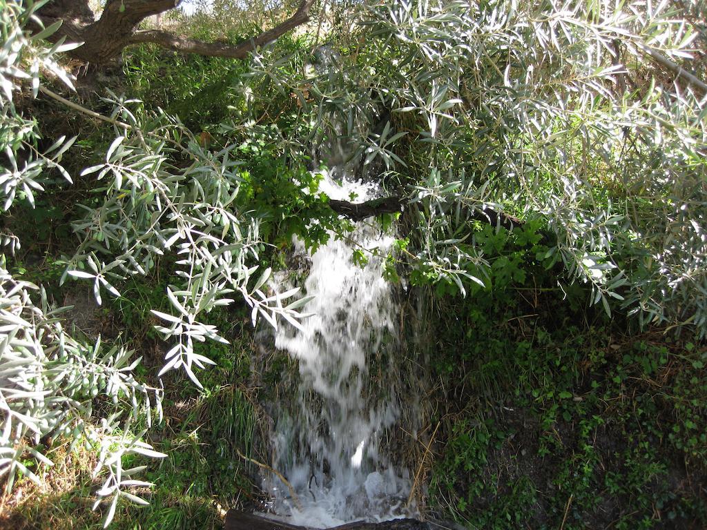Bancal De Los Perez Carataunas Екстериор снимка
