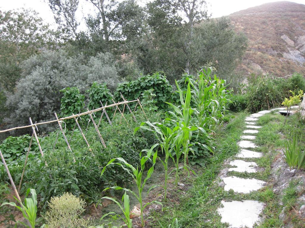 Bancal De Los Perez Carataunas Екстериор снимка