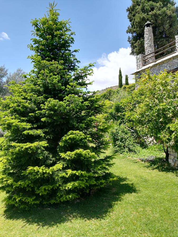 Bancal De Los Perez Carataunas Екстериор снимка